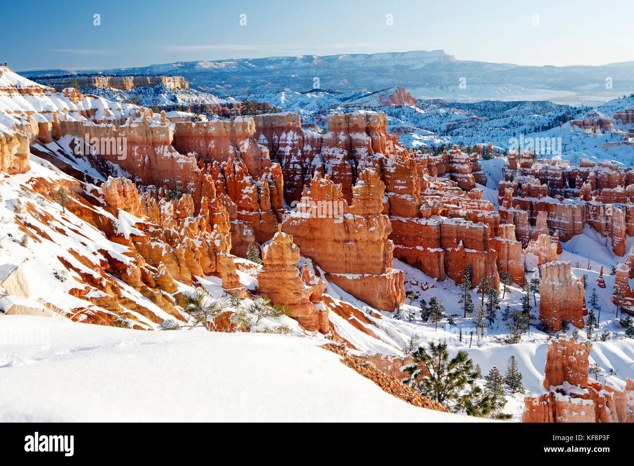 Stati Uniti d'America, Utah, Bryce Canyon city, il parco nazionale di Bryce Canyon e ampie vedute del bryce anfiteatro e hoodoos dal punto di sunrise Foto Stock