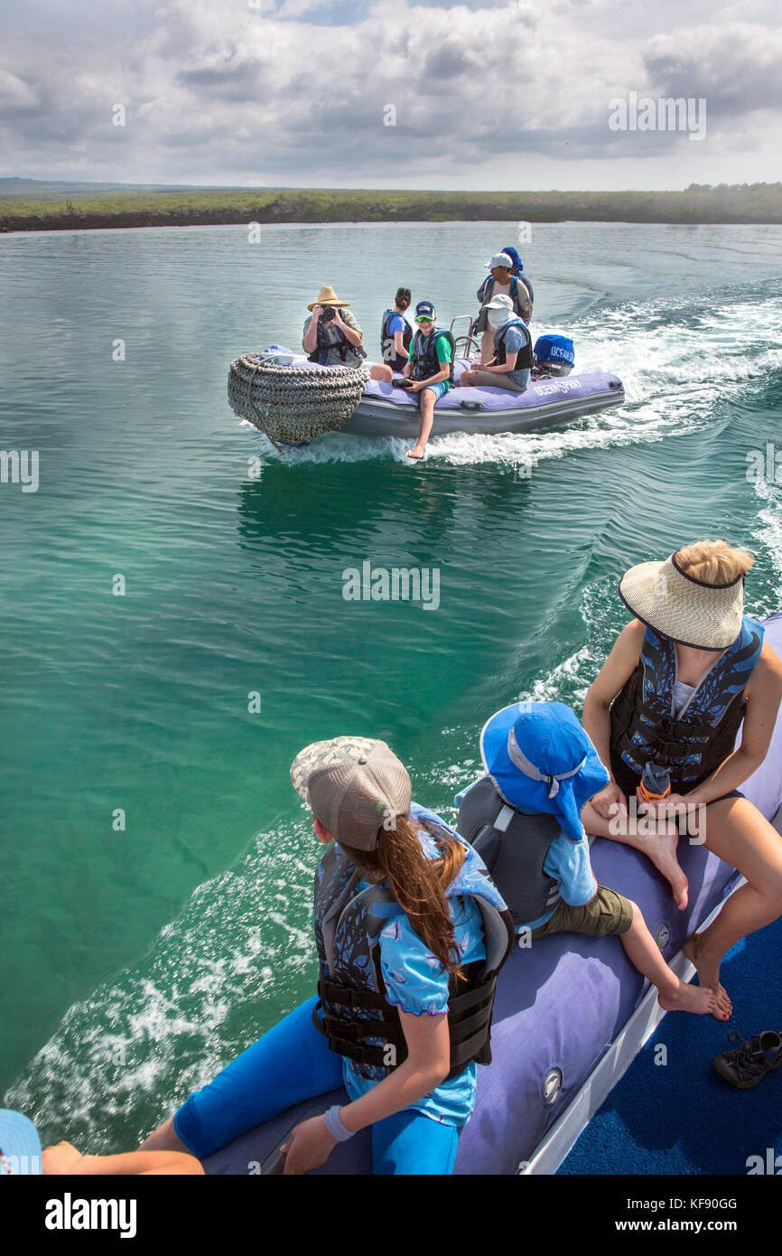Isole Galapagos, ecuador, esplorando elisabeth bay in Zodiac Foto Stock