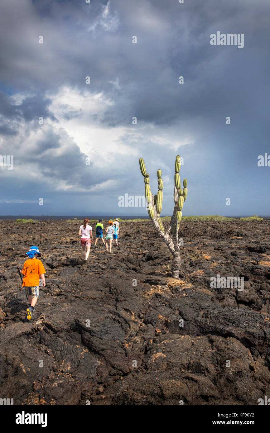 Isole Galapagos, ecuador, individui esplorare intorno intorno a punta moreno su isabela island Foto Stock