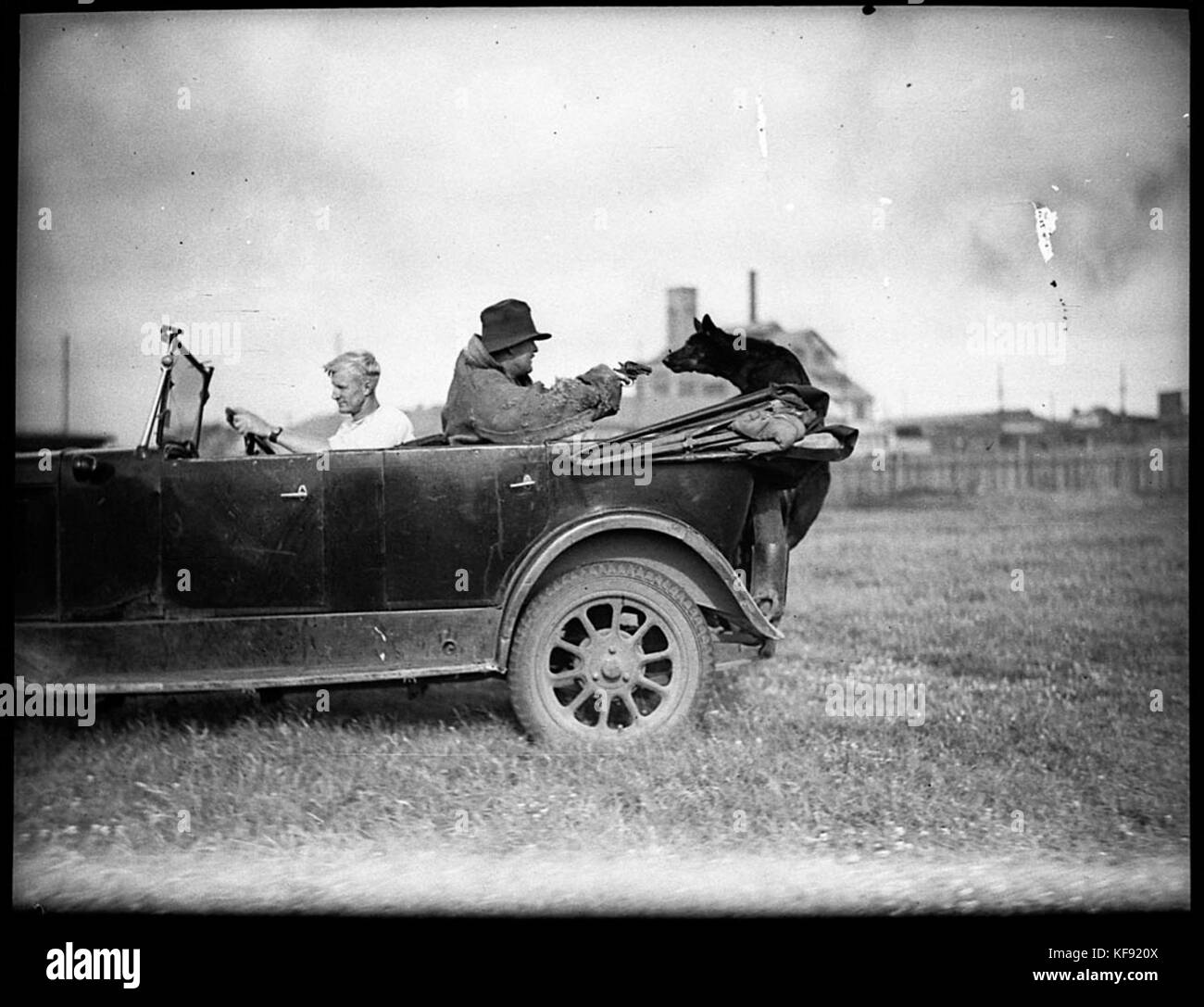 Polizia 27920 cane Tess Foto Stock