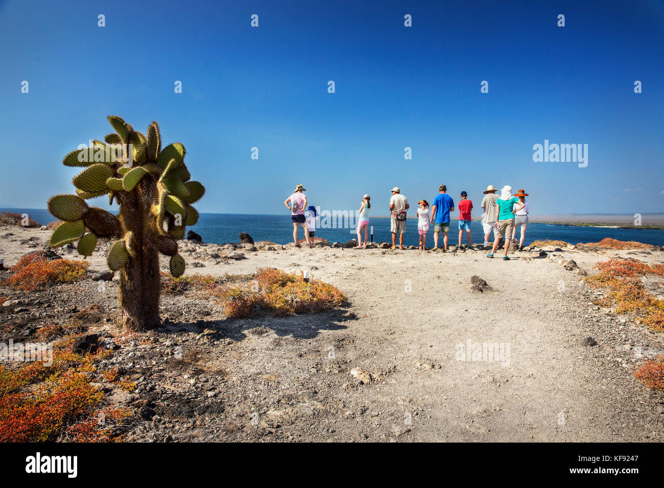 Isole Galapagos, ecuador, individui esplorare intorno a sud plaza isola la se costa di santa cruz Foto Stock