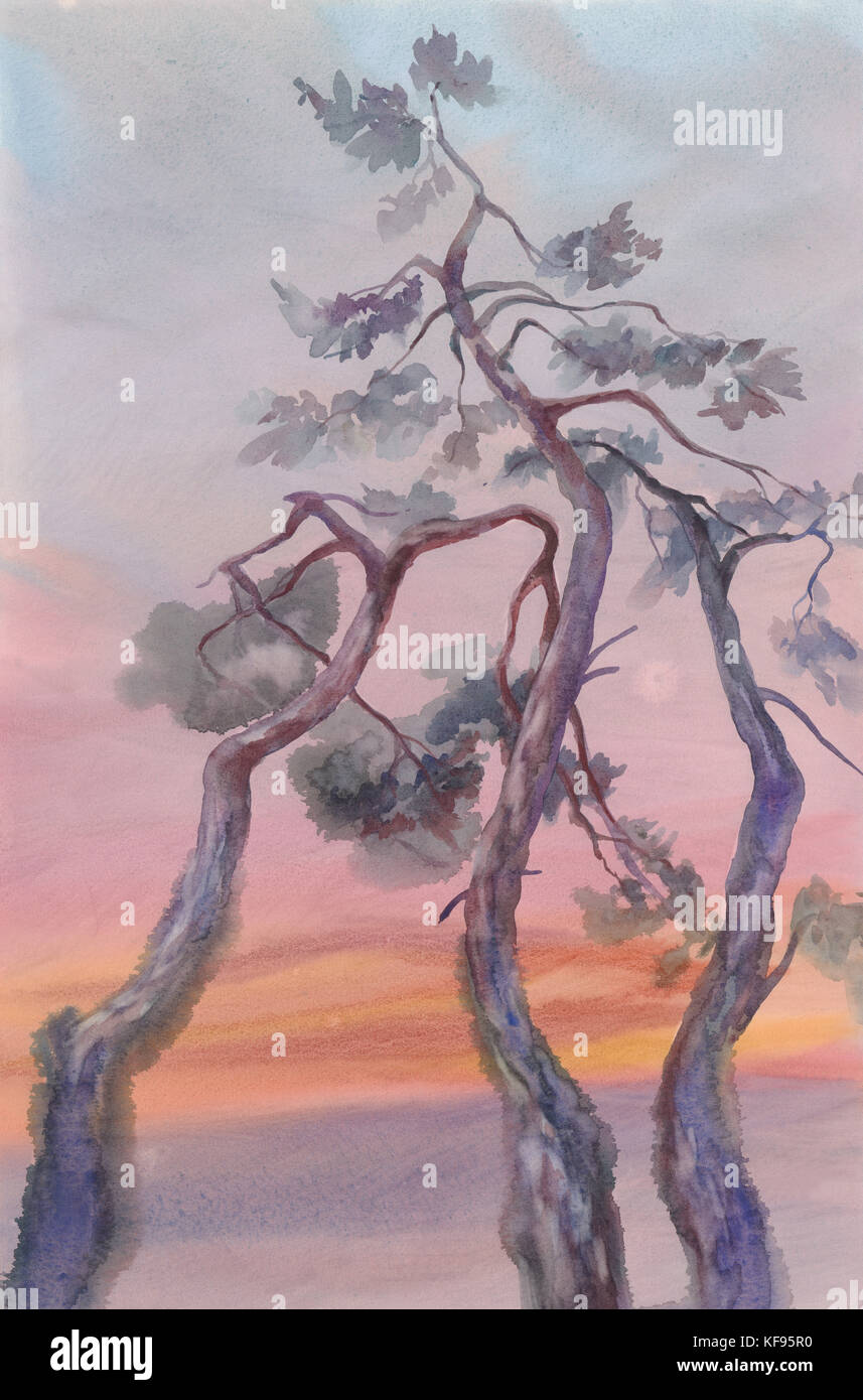 Gli alberi di pino sfondo ad acquerello Foto Stock