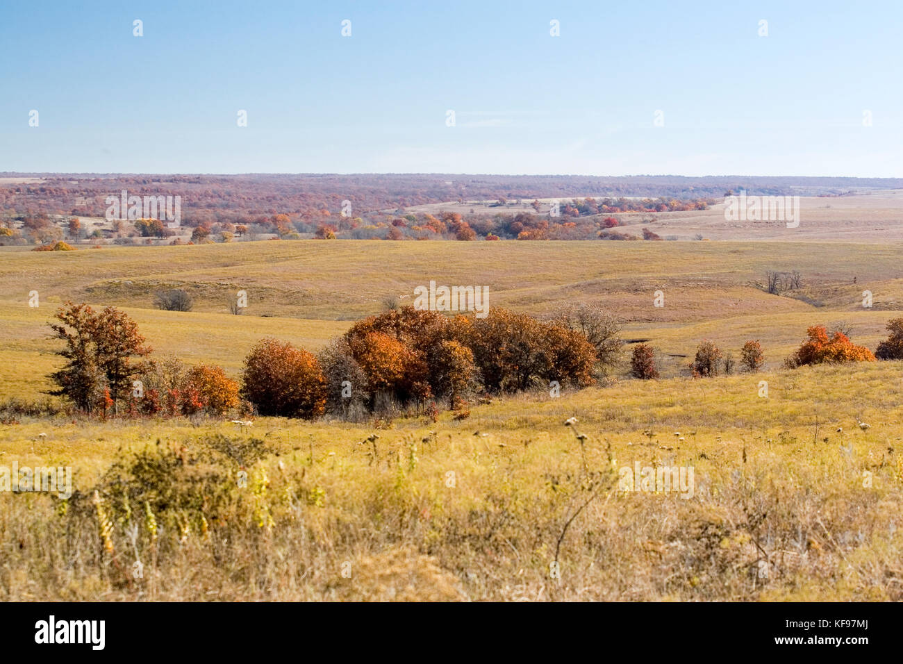 Osage Indian Reservation e tallgrass prairie riserva, Oklahoma, ok, Stati Uniti d'America Foto Stock