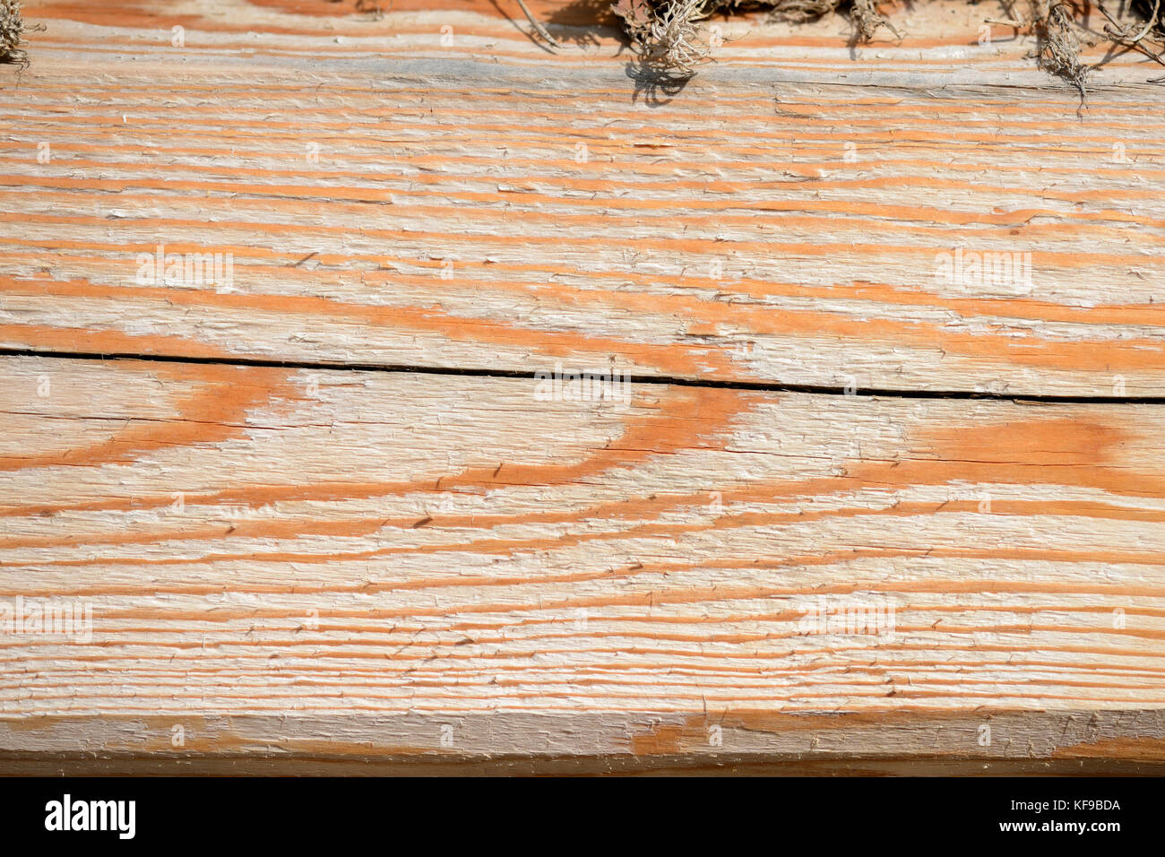 Sfondo di legno da schede e muschio secco Foto Stock