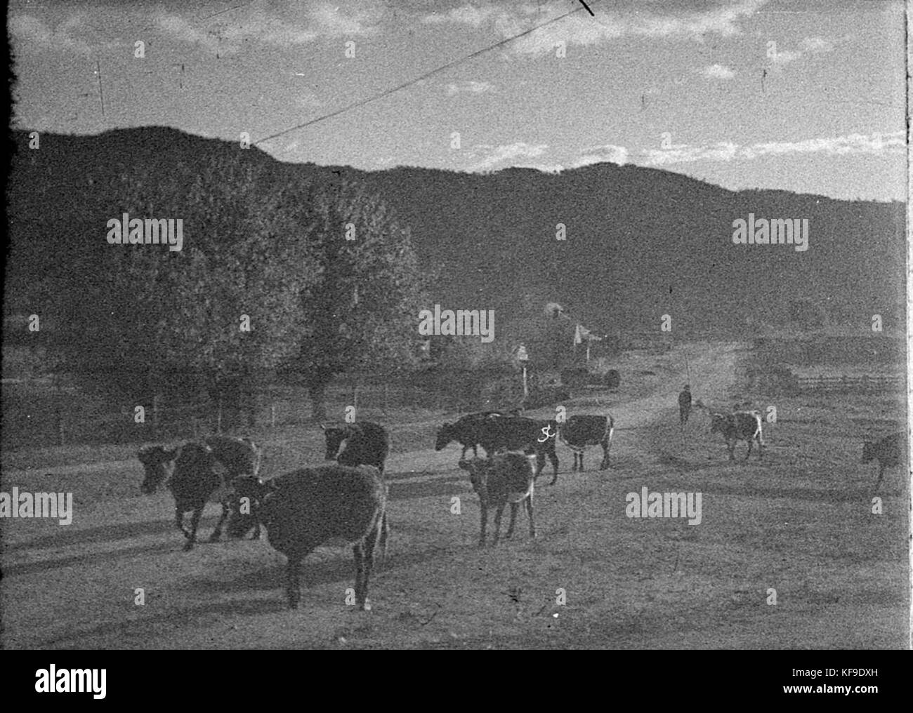 Un riferimento ad Araluen, forse un sito o luogo storico, relativo alla regione di Araluen nota per il suo significato naturale o storico nella storia australiana. Foto Stock