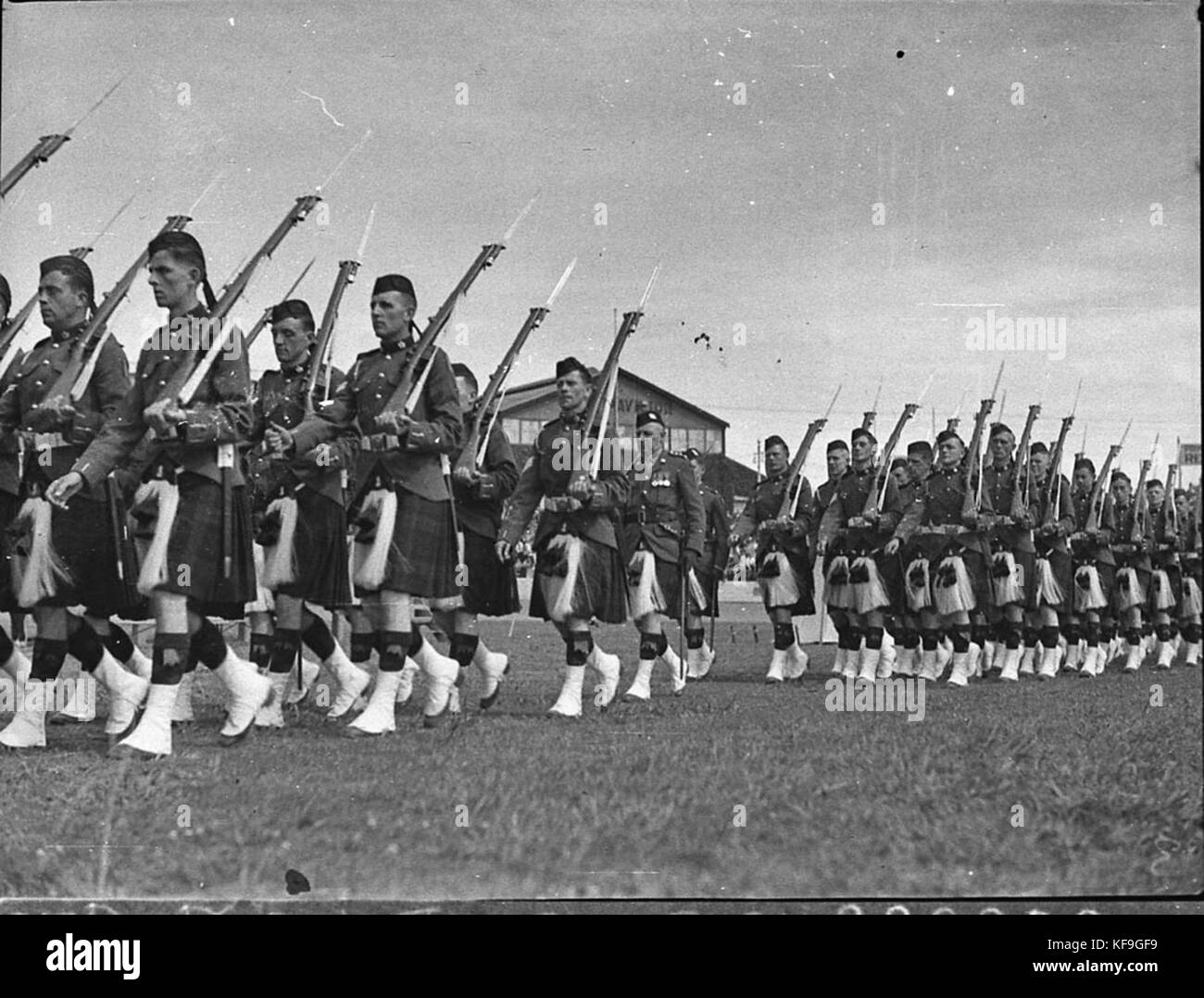 81675 Highland Gathering reggimento scozzese Foto Stock