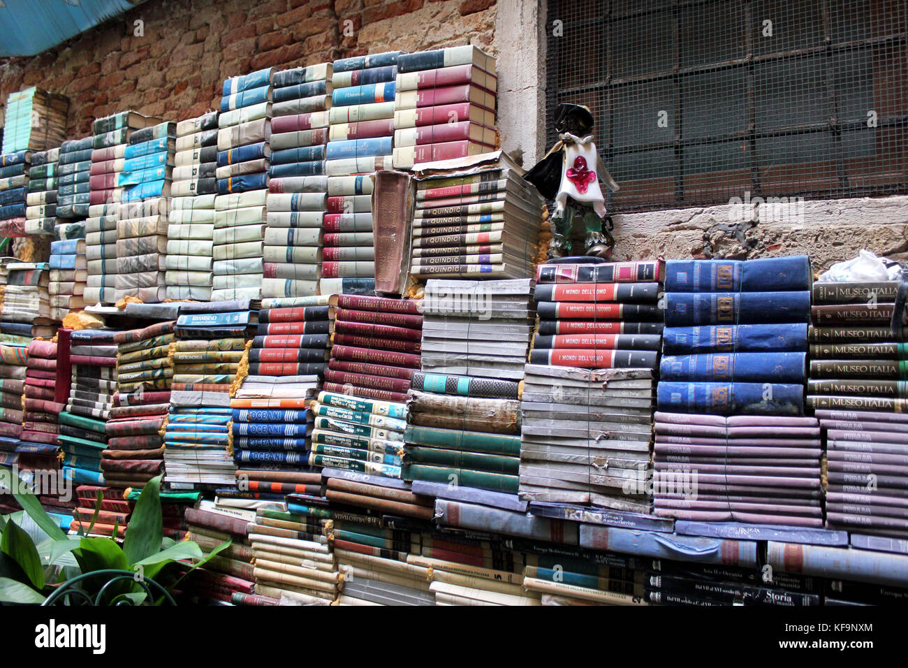 Libri impilati a alta. Libro famoso negozio di Acqua Alta, Venezia, Italia. Venezia, Italia. Foto Stock