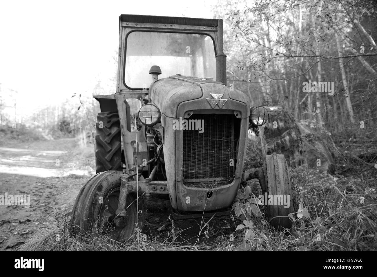 Vecchio Massey Ferguson trattore agricolo (bianco e nero) Foto Stock