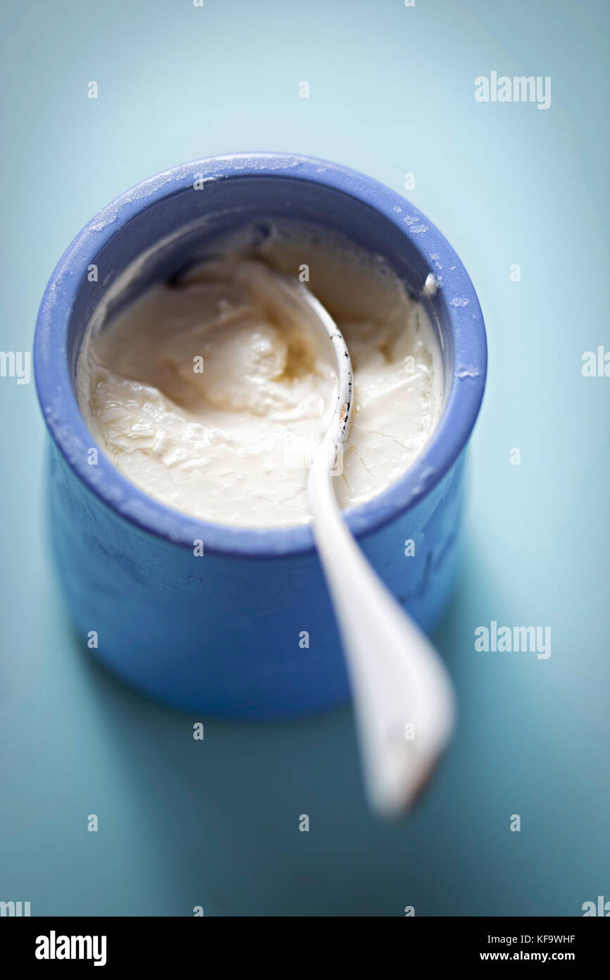 La vaniglia yogurt nella pentola blu Foto Stock