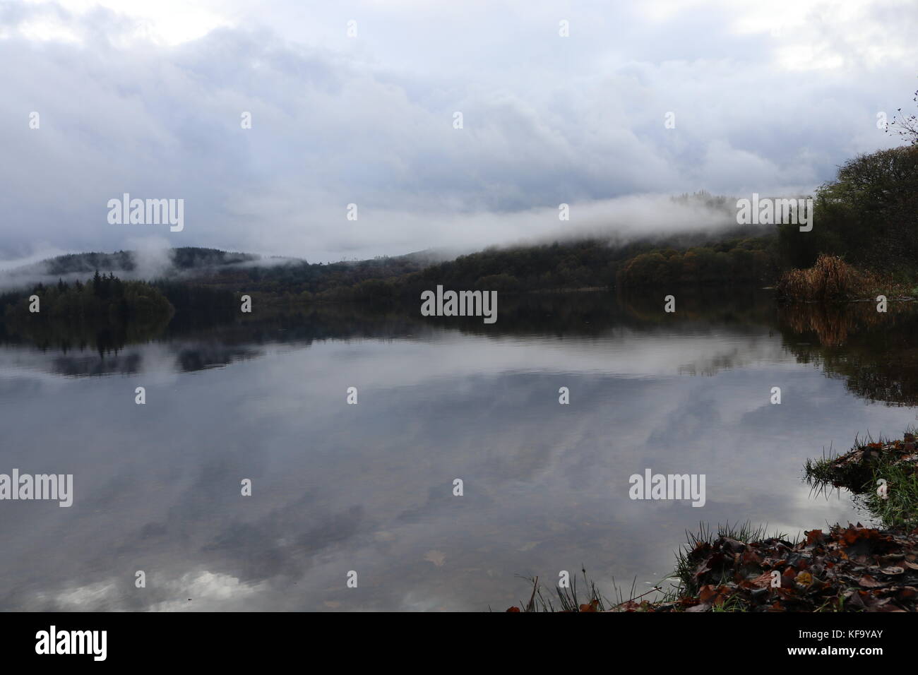 Loch Ard, Aberfoyle, Kinlochard, Scozia, Highlands Foto Stock