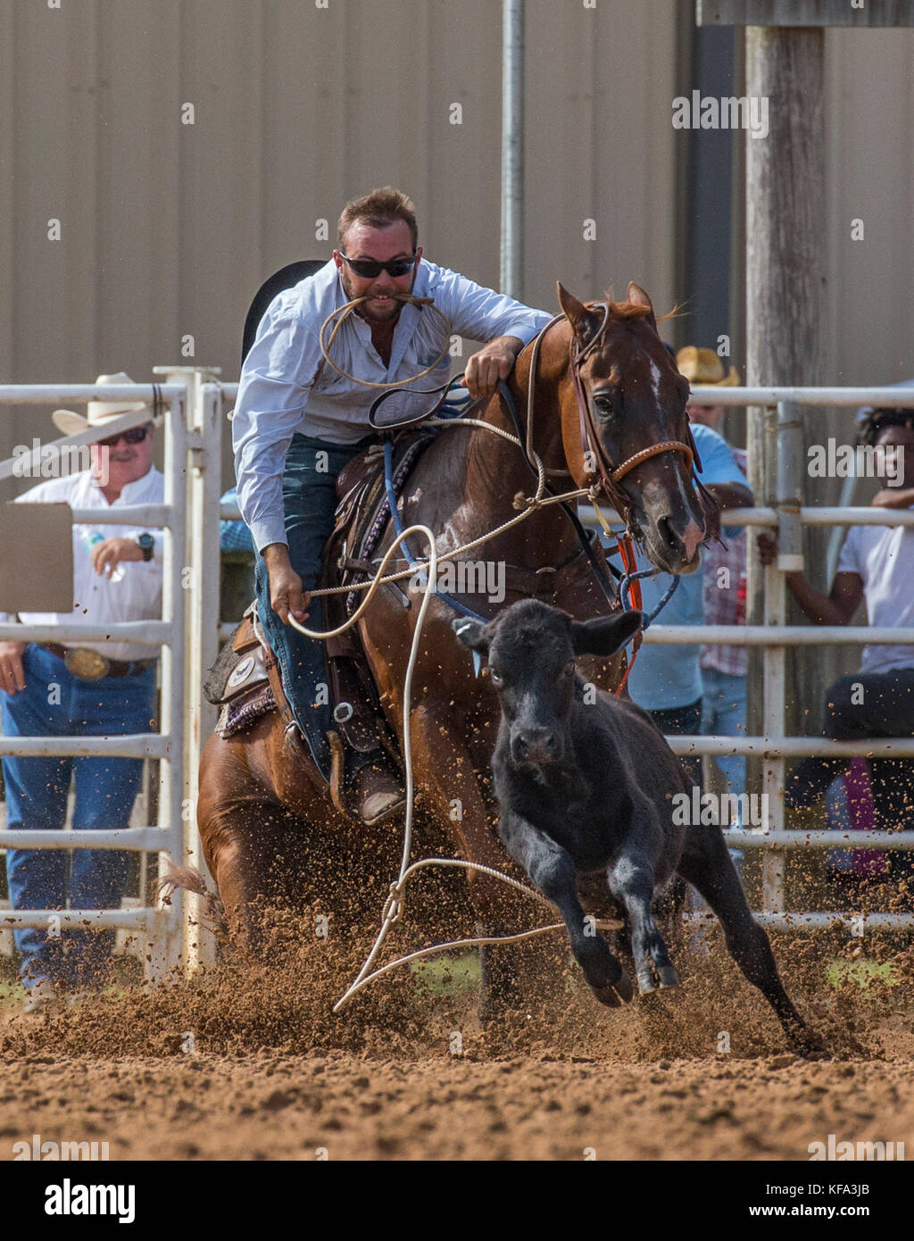 Appuntamento di Roping al 4th Annual Fall PRCA Rodeo ad Arcadia in Florida Foto Stock