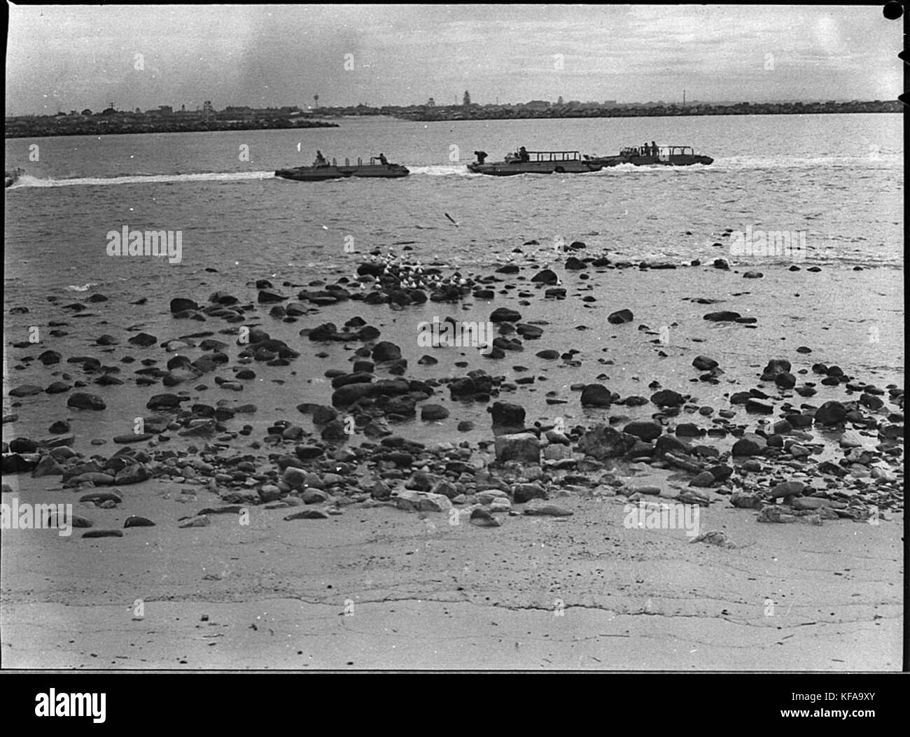 37560 LVT test condotti dal XV Nord del Fiume Lancieri combinando con 101st azienda RAASC e il trasporto Training Center Sydney Foto Stock