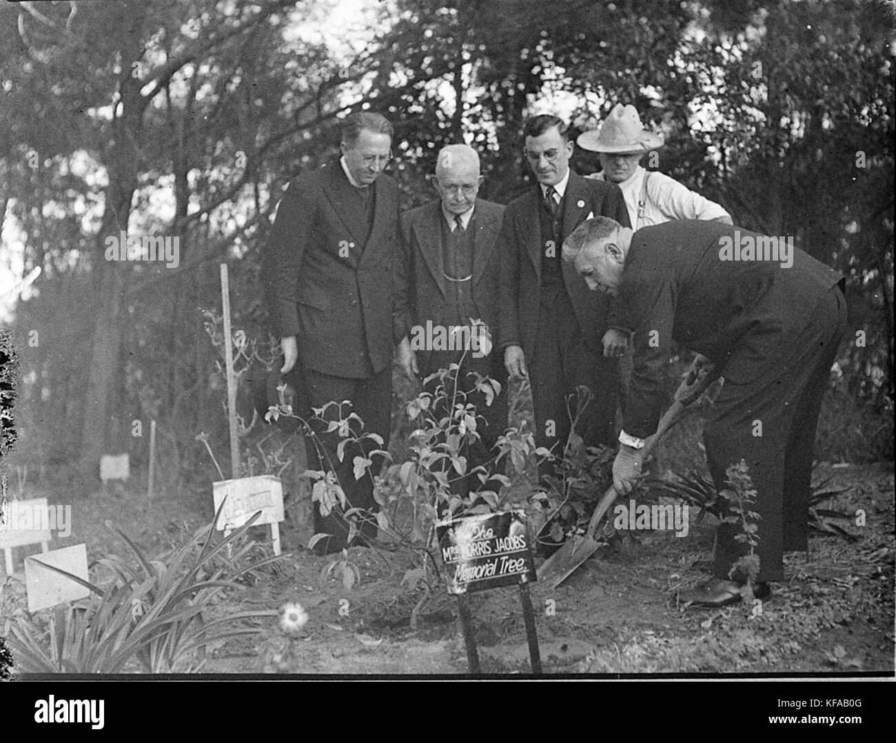 34248 Dalwood Case signor Fitzpatrick Foto Stock