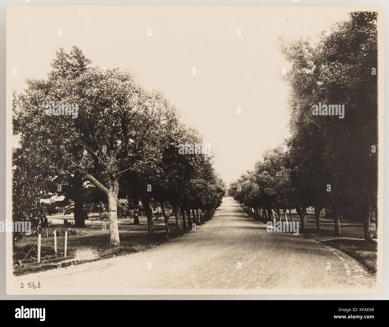 Serie 920761 17 rurale e bush scenario ca 19211923 Foto Stock