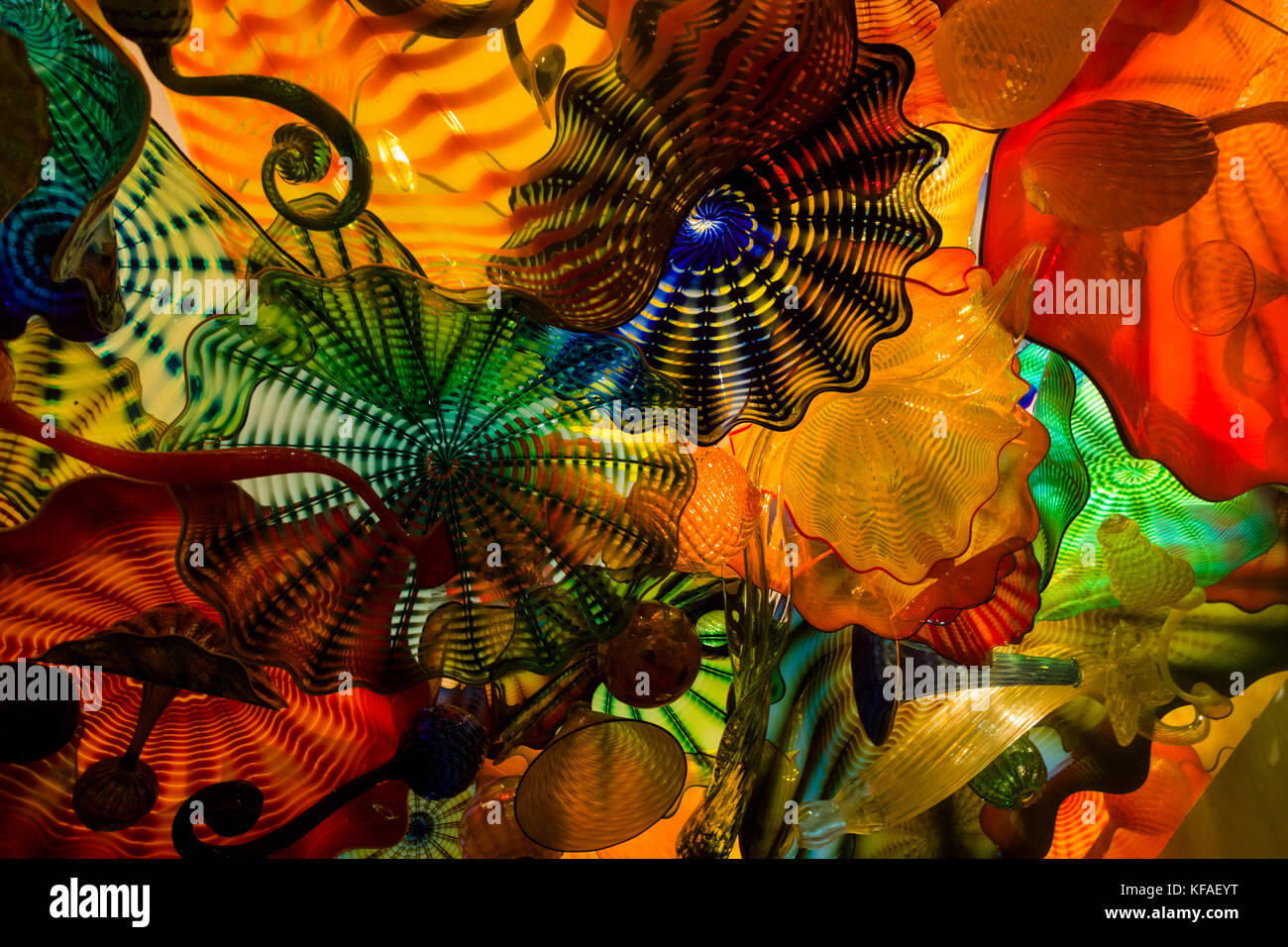 Scultura in vetro nella collezione Chihuly delle opere d'arte in vetro di Dale Chihuly nel centro di St. Petersburg, Florida. Foto Stock