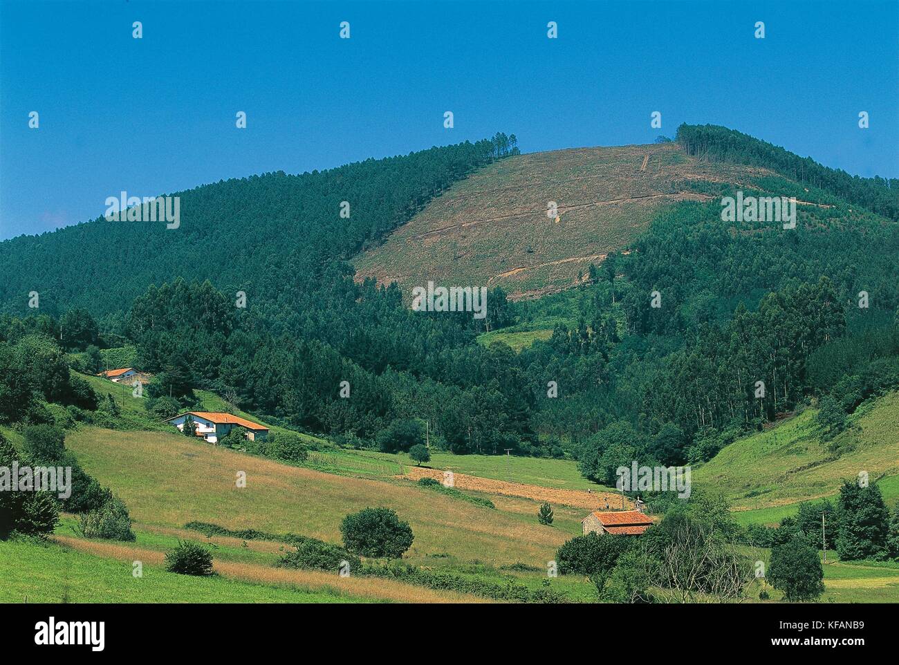 Paesi baschi Spagna intorno baque bakio paesaggio Foto Stock