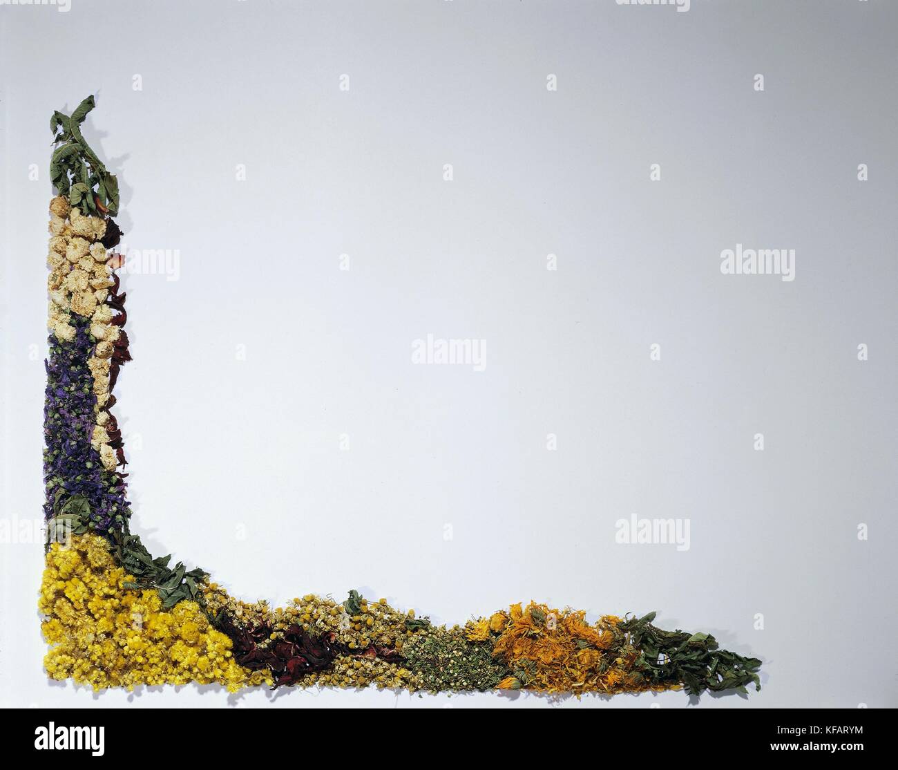 Still Life, herb. composizione dal telaio Foto Stock
