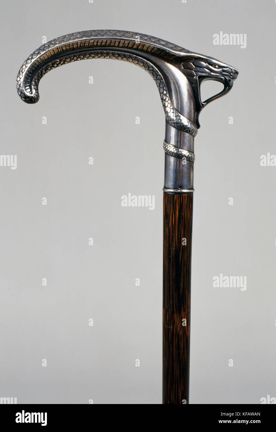 Laurel canna con impugnatura in argento a forma di serpente, art nouveau, fine francia, xix secolo. Foto Stock