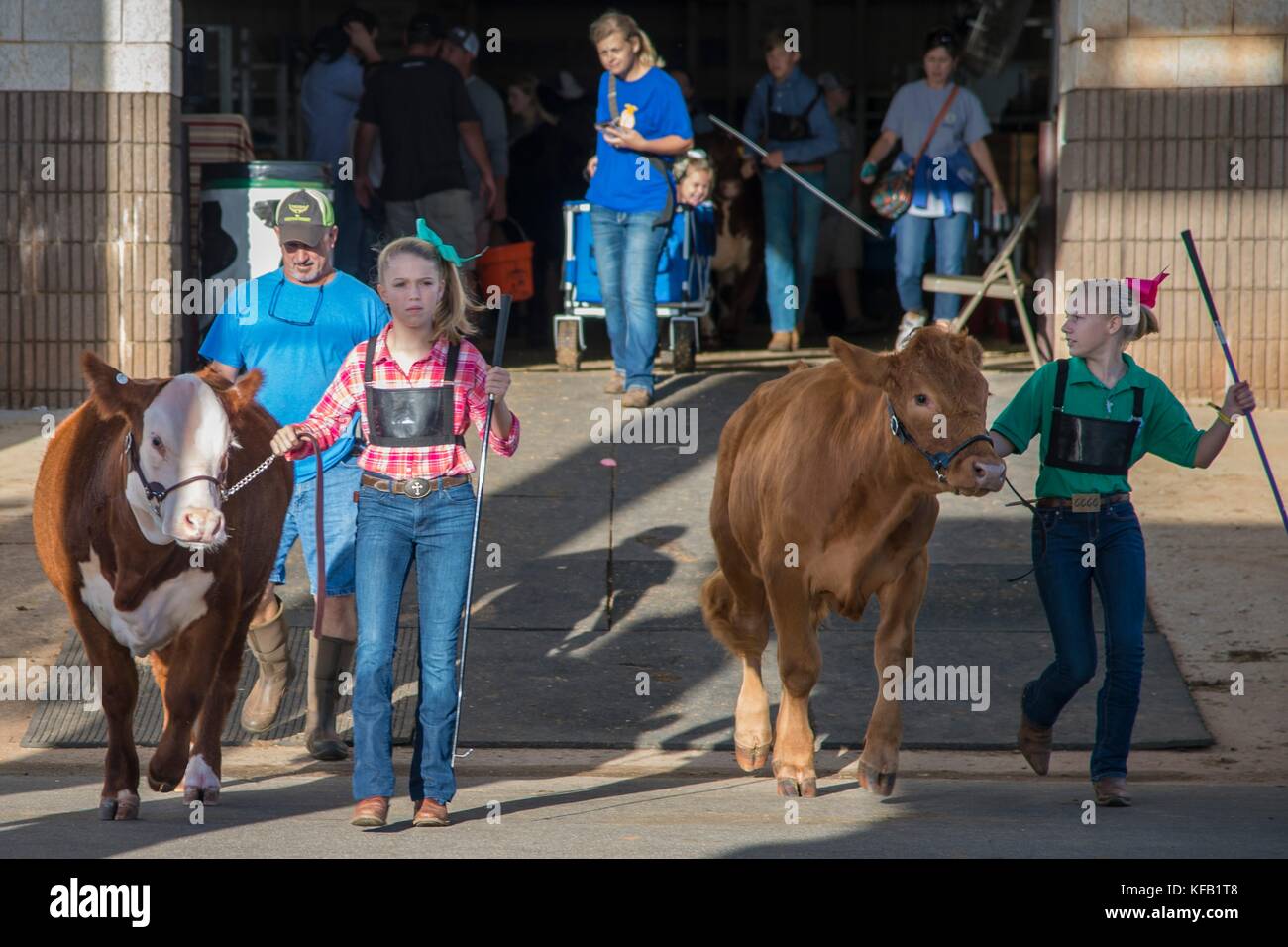 Giovani ragazze presenti le loro vacche durante 4 ore di bestiame concorrenza durante la Georgia State Fair al georgia fiera nazionale e agricenter ottobre 6, 2017 in Perry, Georgia. (Foto di preston keres via planetpix) Foto Stock