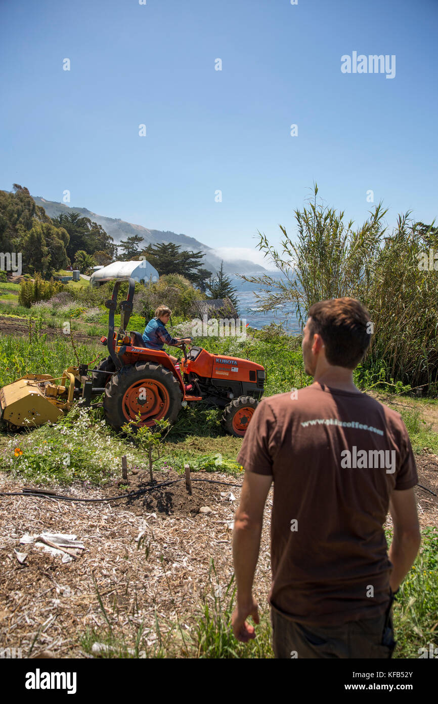 Stati Uniti, California, Big Sur, esalen, coltivando un campo presso la fattoria, il Esalen Institute Foto Stock