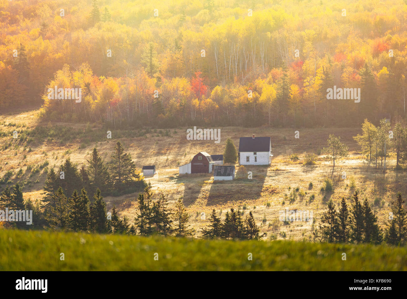 Cascina in autunno rurale in America. Foto Stock