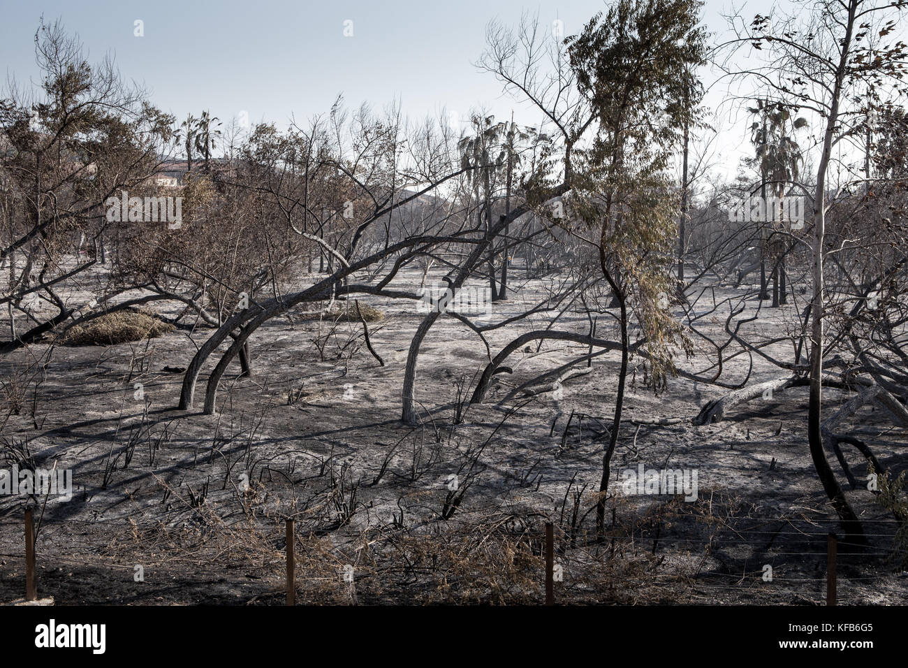 La masterizzazione di area a sinistra dal Canyon 2 Fire a Peters canyon parco regionale in arancione la California del Sud . Il parco rimane chiuso come di Ott 30 2017 Foto Stock