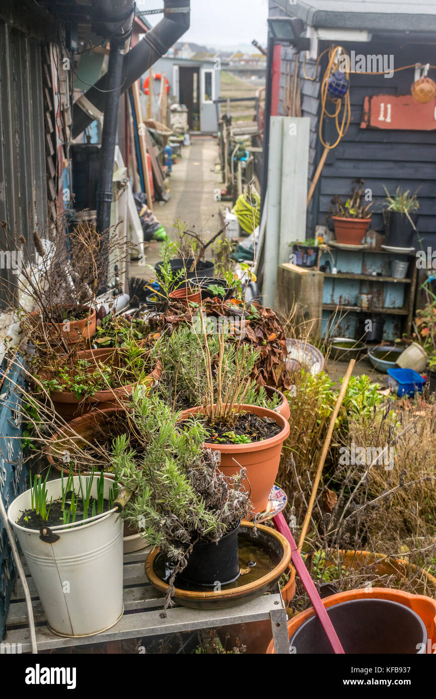 Giardino in bicicletta di una casa galleggiante Foto Stock