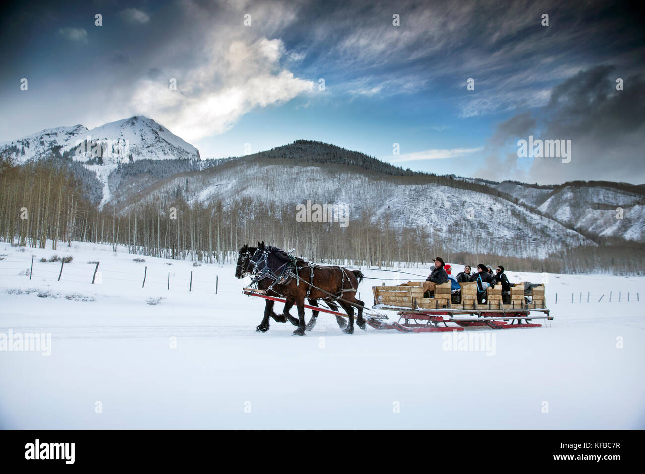 Stati Uniti d'America, colorado, Aspen, cavalli tirare una slitta piena di persone attraverso la elk mountains fino al Pine Creek cookhouse per la cena, ashcroft Foto Stock