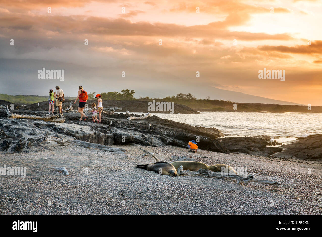 Isole GALAPAGOS, ECUADOR, un gruppo di persone appendere fuori sulla spiaggia e guardare il tramonto dal Fernandina Island Foto Stock
