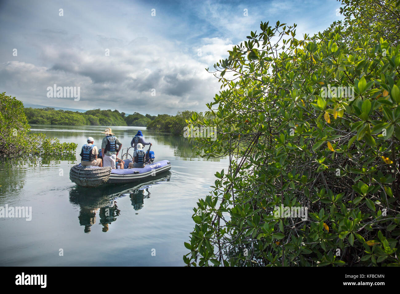 Isole GALAPAGOS, ECUADOR, esplorando Elisabeth Bay in Zodiac Foto Stock