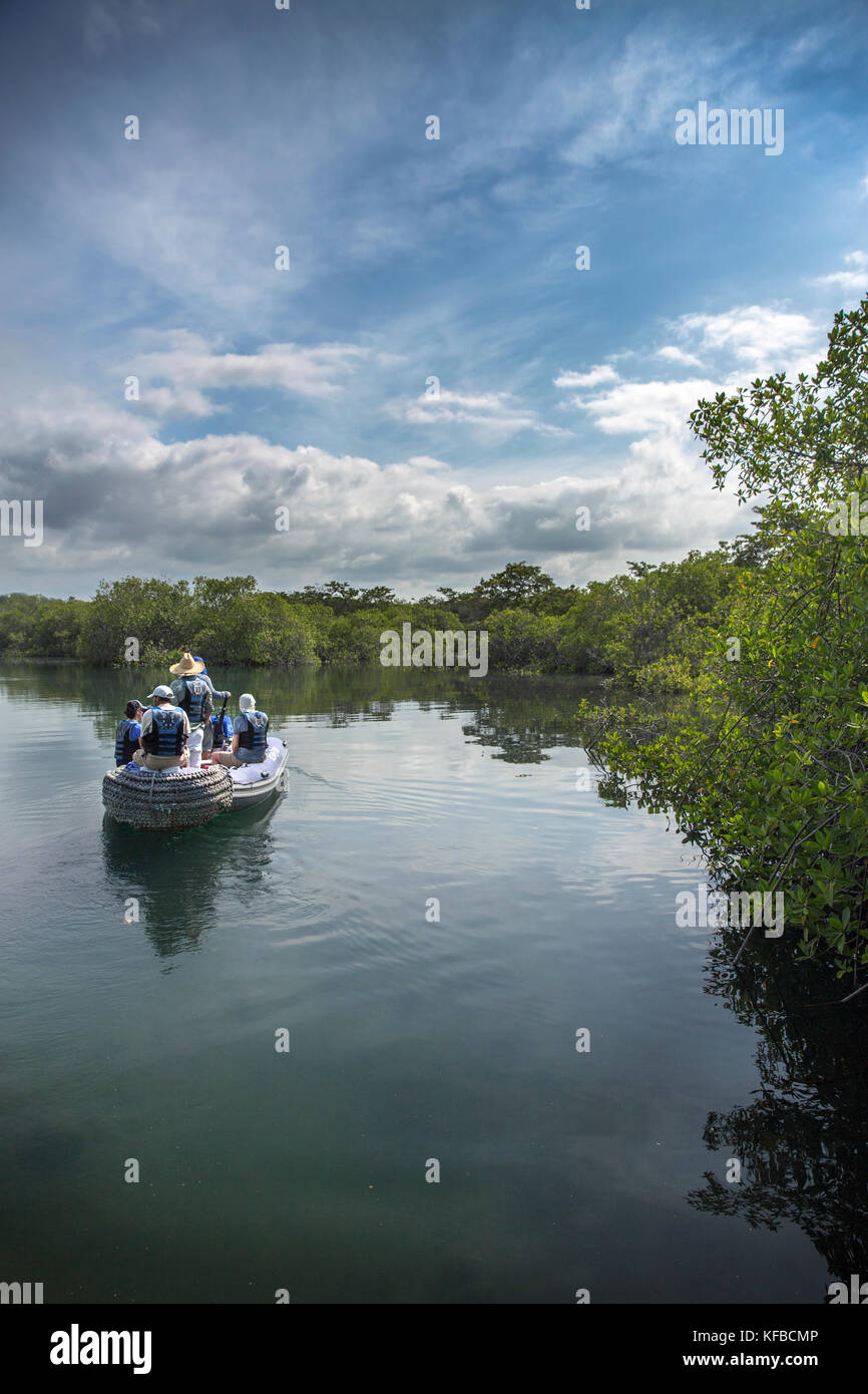 Isole GALAPAGOS, ECUADOR, esplorando Elisabeth Bay in Zodiac Foto Stock
