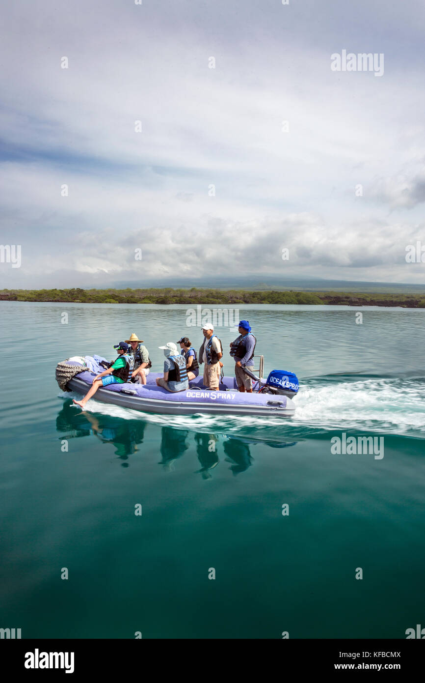 Isole GALAPAGOS, ECUADOR, esplorando Elisabeth Bay in Zodiac Foto Stock