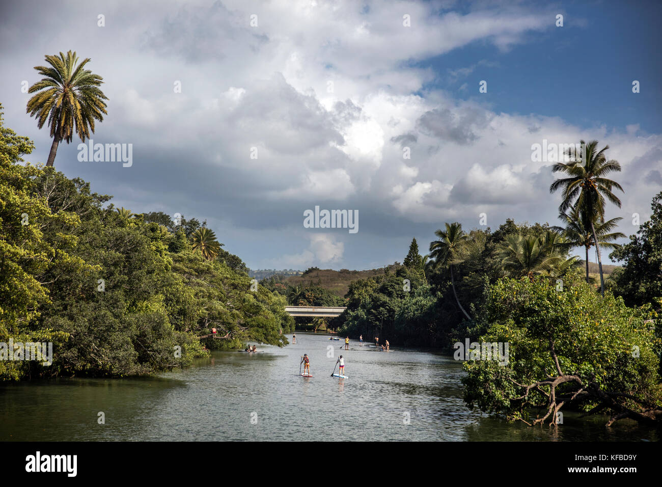 HAWAII, Oahu, North Shore, viaggiatori paddleboarding sul fiume Anahulu sotto lo storico Ponte di Arcobaleno nella città di Haliewa Foto Stock