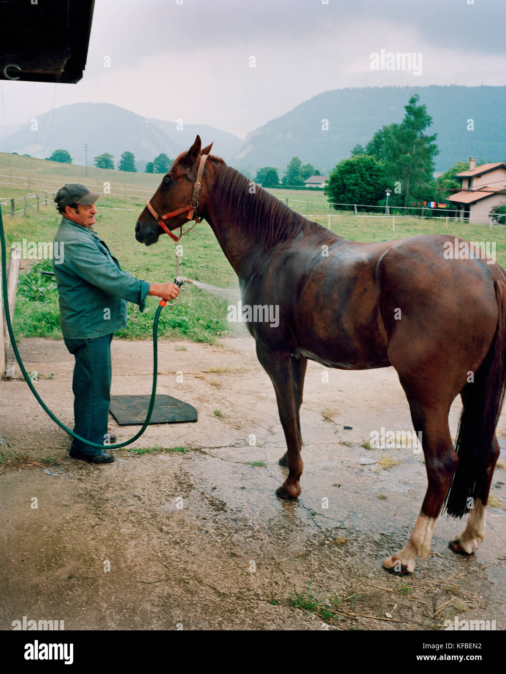 La Svizzera, motiers, lutin dà il suo cavallo clatiola un risciacquo dopo il corso di formazione sulla via, regione del Giura Foto Stock