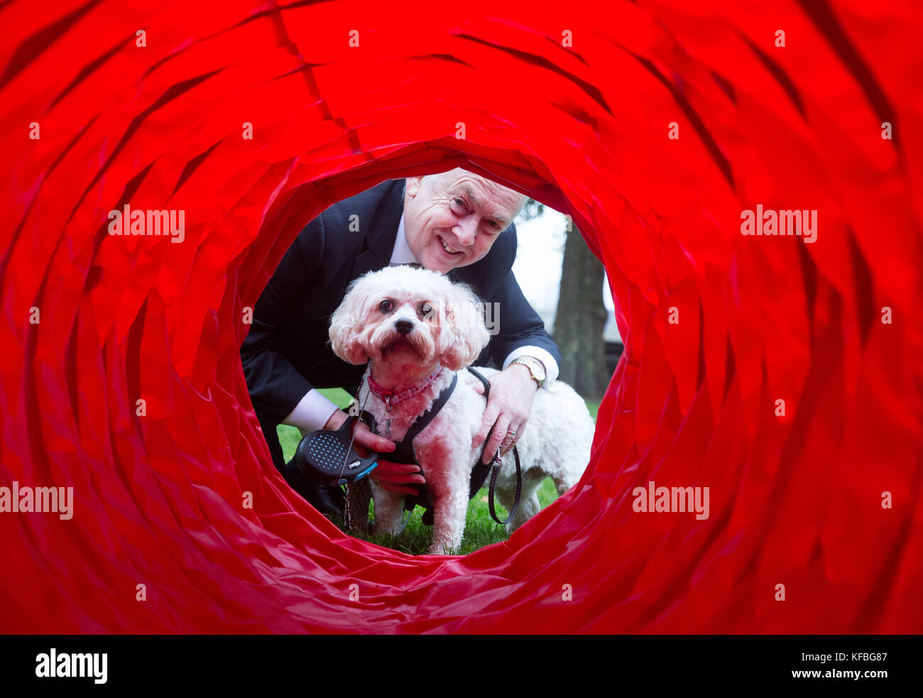 Wayne David, MP per Caerphilly, con Alice, un Cavalier King Charles Spaniel/Bichon Frise Croce, coetanei giù un tunnel al Westminster cane dell'anno Foto Stock