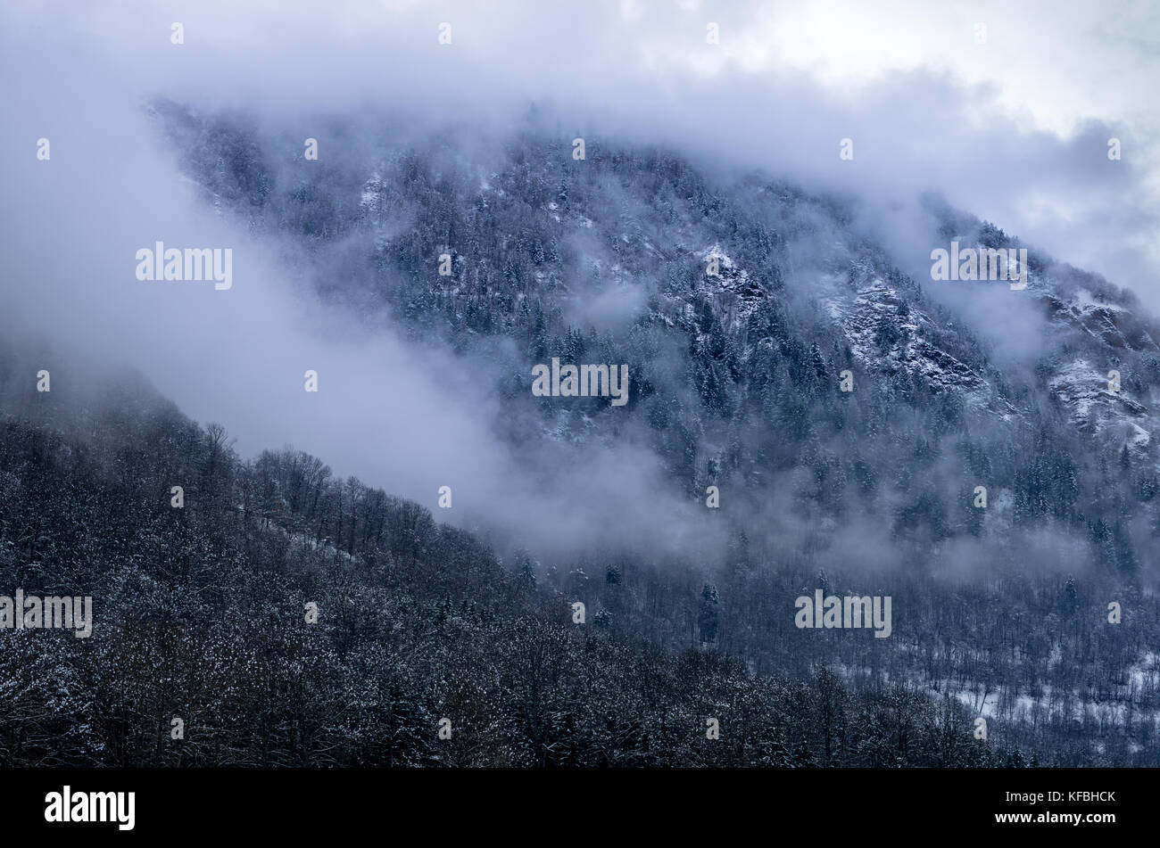 In inverno la nebbia nella foresta dei pirenei Foto Stock