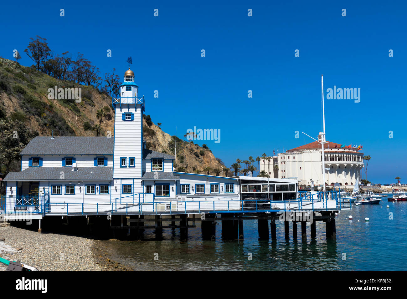 Cielo blu brillante sopra il Catalina Island Yacht Club e il Catalina Casino. California Stati Uniti Foto Stock