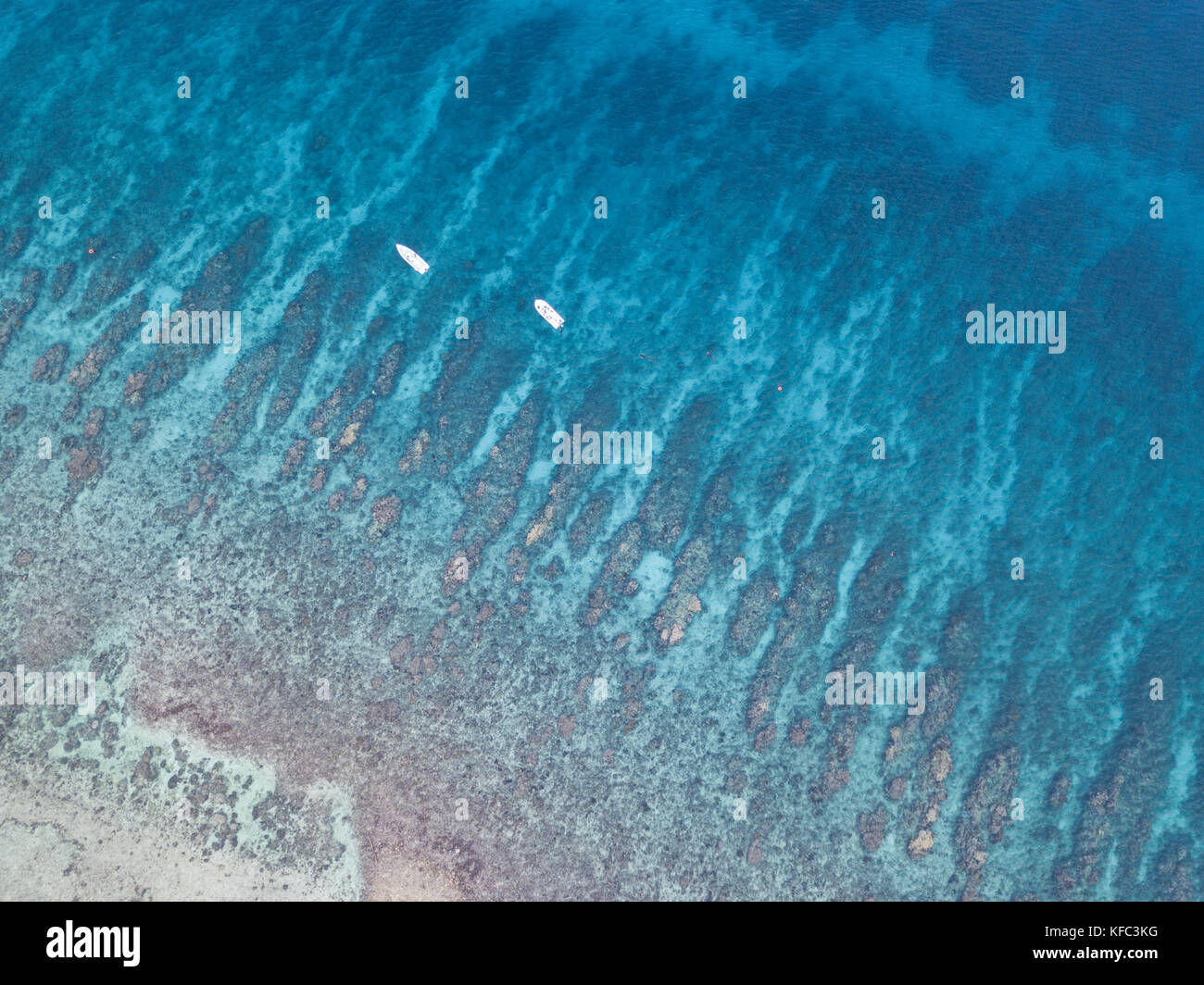Una veduta aerea di una bellissima barriera corallina sul bordo di turneffe atoll al largo delle coste del Belize. questa zona dei Caraibi è estremamente biodiversi. Foto Stock