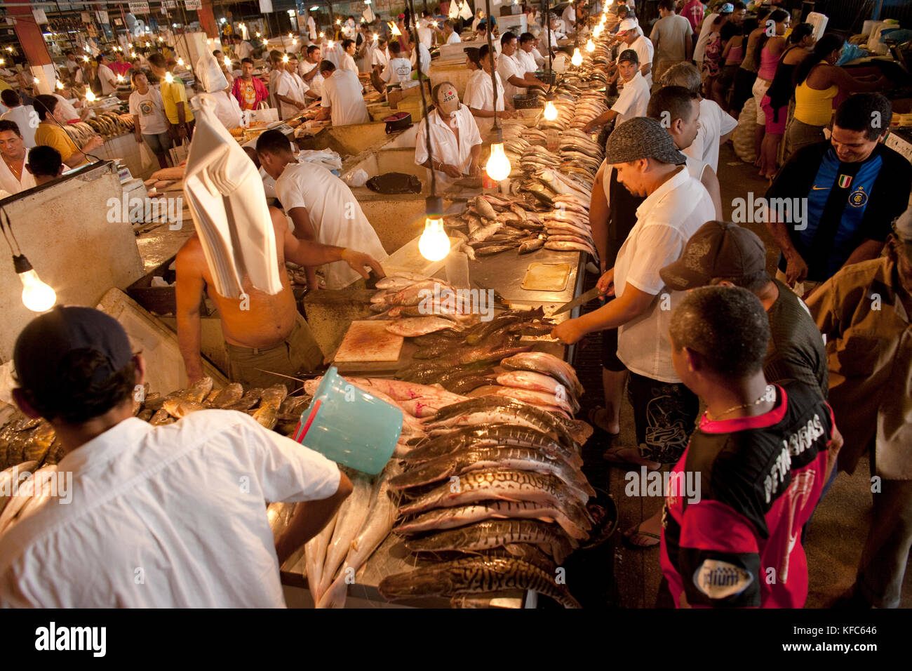 Brasile Manaus, mercato del pesce, di acquisto e di vendita del pesce Foto Stock