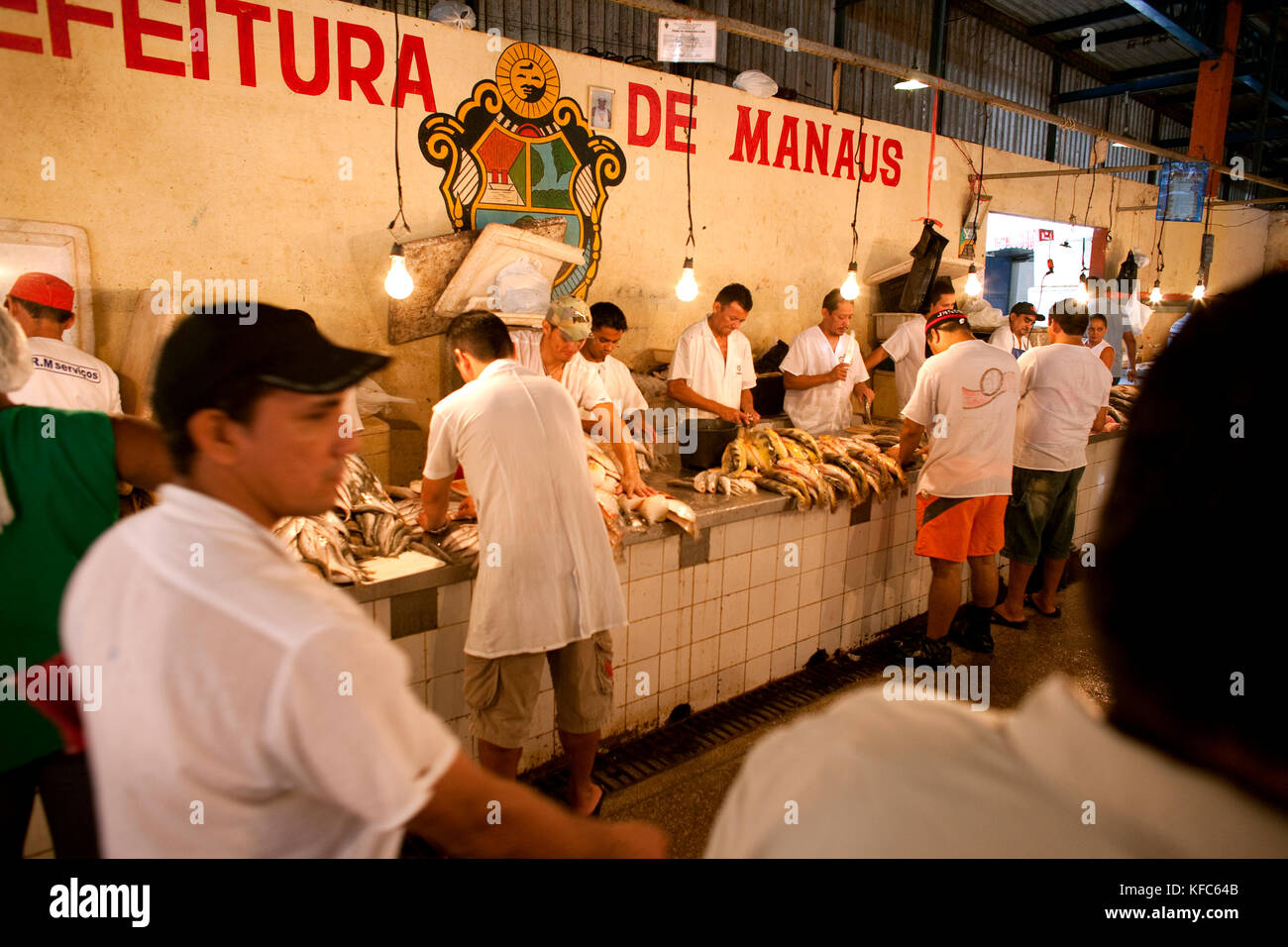 Brasile Manaus, Amazon pesci di fiume di essere venduto a Manaus mercato del pesce Foto Stock