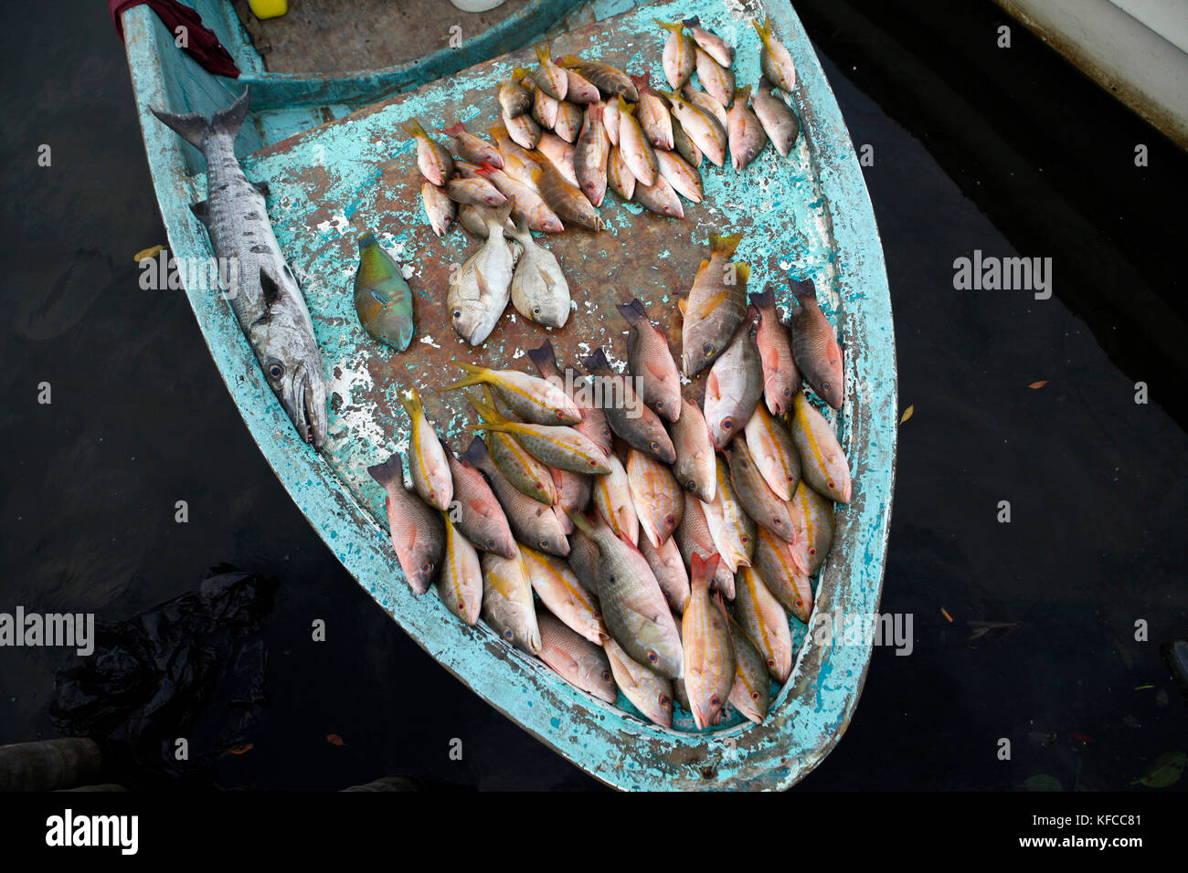 BELIZE. Belize City, pesce in vendita al mercato del pesce di Southside Foto Stock