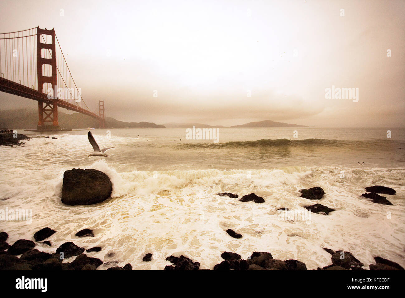 Stati Uniti, California, San Francisco, il Golden Gate bridge con un gabbiano e surfisti, fort point Foto Stock