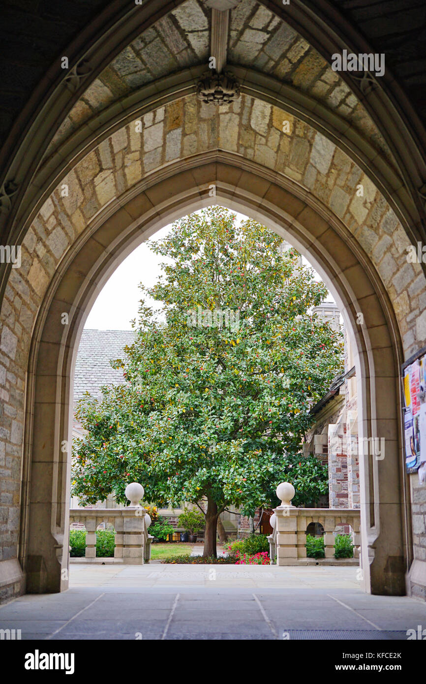 Il campus della Princeton University, un'università privata di ricerca della Ivy League nel New Jersey, è stato il primo college universitario degli Stati Uniti Foto Stock