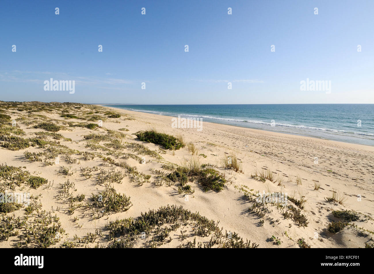 Spiaggia di Comporta, Alcácer do SAL. Portogallo Foto Stock
