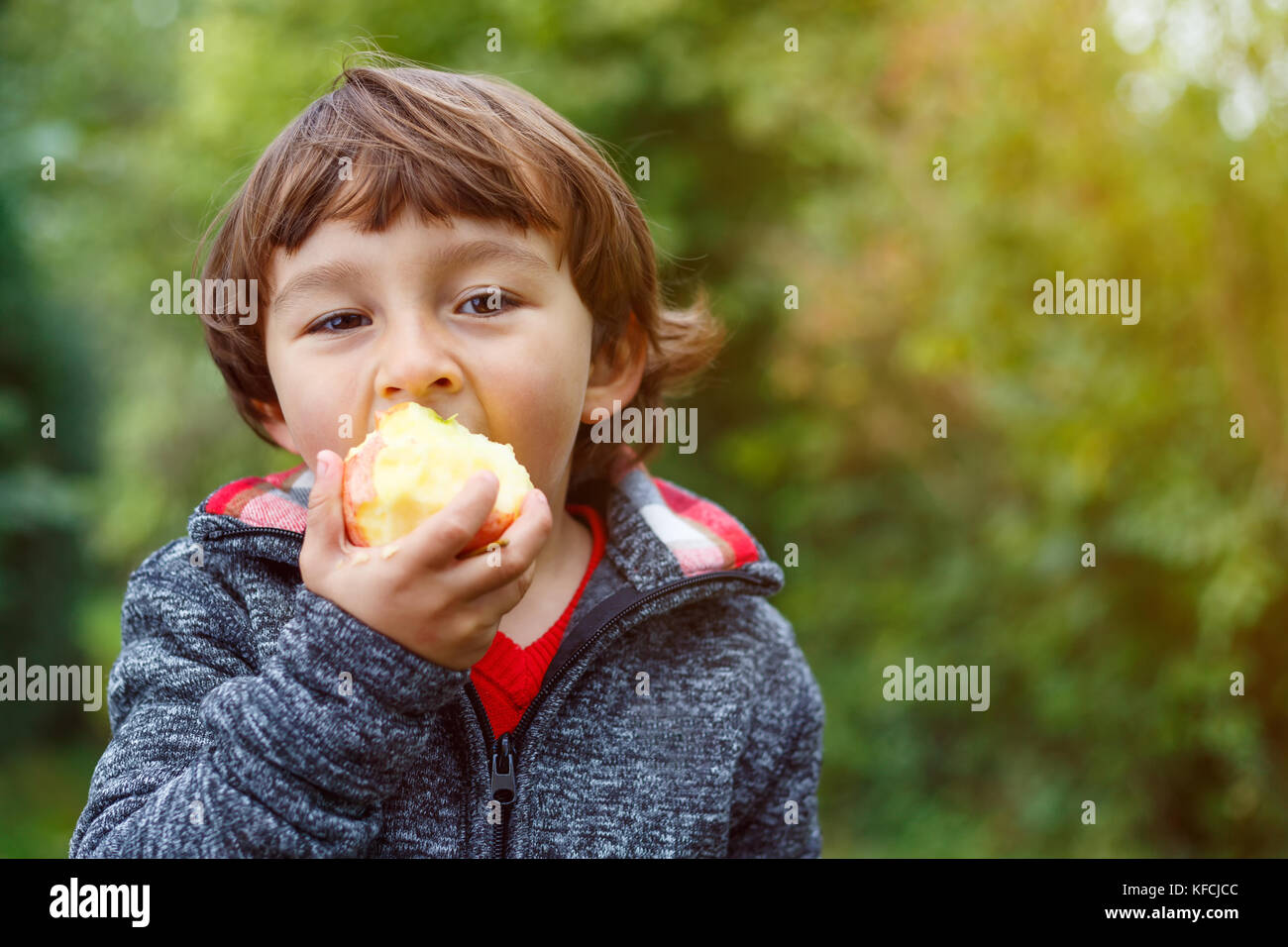 Bambino kid mangiare frutta apple outdoor autunno autunno natura sana all'aperto Foto Stock