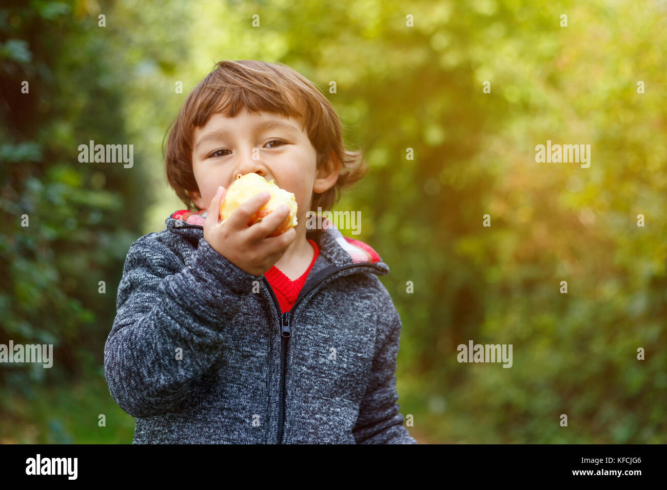 Little Boy bambino kid mangiare frutta apple autumn fall copyspace natura giardino all'aperto Foto Stock