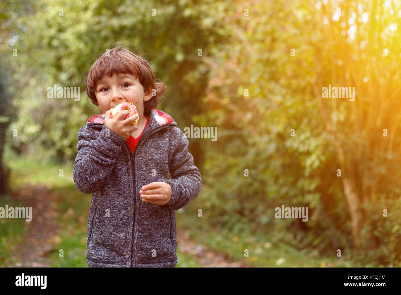 Little Boy bambino kid mangiare frutta apple outdoor autunno autunno copyspace natura giardino all'aperto Foto Stock