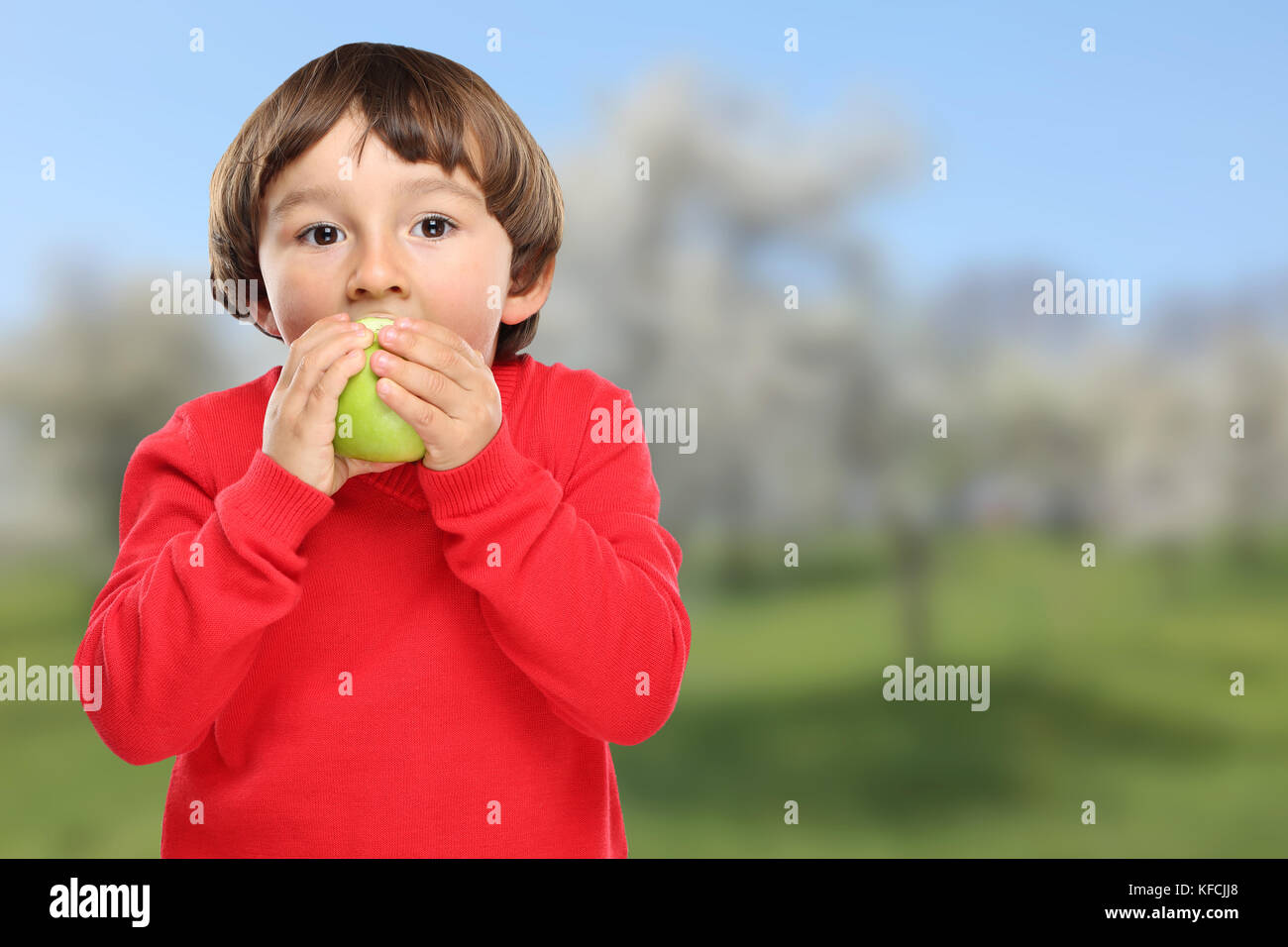 Apple mangiare bambino kid frutta verde cibo sano boy Foto Stock