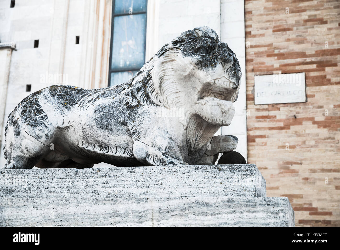 Antica lion, bianco weathered statua. fermo, Italia Foto Stock