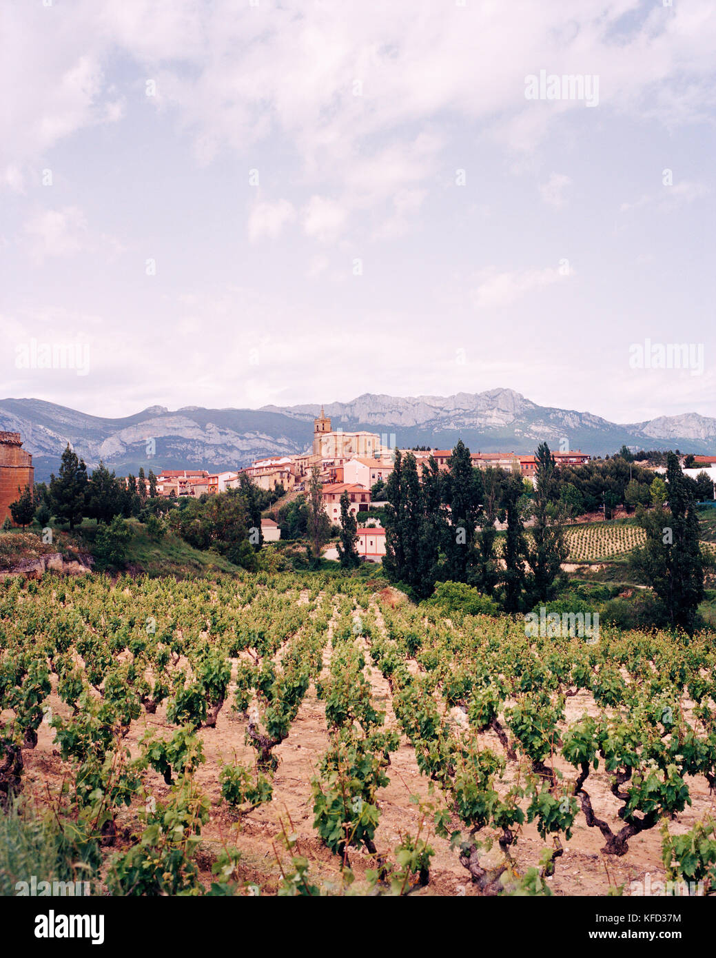 In Spagna, La Rioja, vigneto con case e la gamma della montagna in background Foto Stock